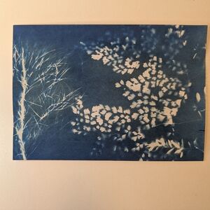 Handmade Cyanotype Botanical Sun Prints - Original Blue & White Art